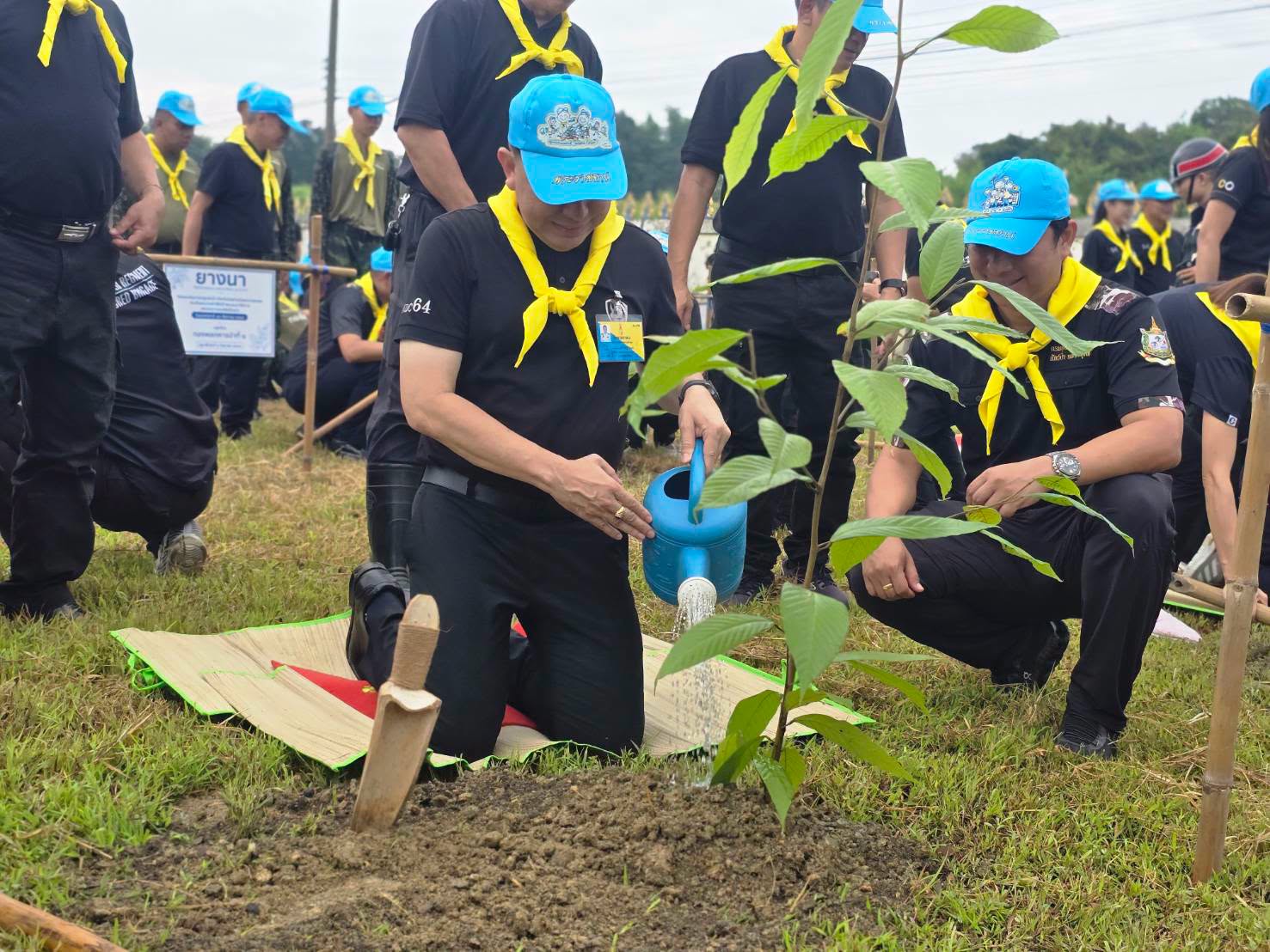 title - สำนักงานการปฏิรูปที่ดินจังหวัดเพชรบูรณ์ กิจกรรมจิตอาสาปลูกต้นไม้ เนื่องในโอกาสวันคล้ายวันพระราชสมภพ สมเด็จพระนางเจ้าสิริกิติ์ พระบรมราชินีนาถ พระบรมราชชนนีพันปีหลวง และวันแม่แห่งชาติ 12 สิงหาคม 2569